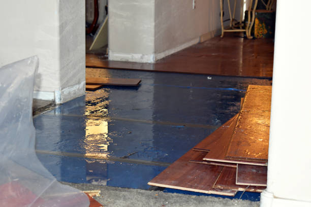Professional Emergency Water Damage Restoration technician working in Lewisville, MN